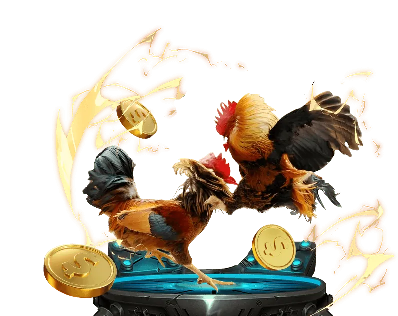 Tổng quan về các điều khoản chung của lu88 app